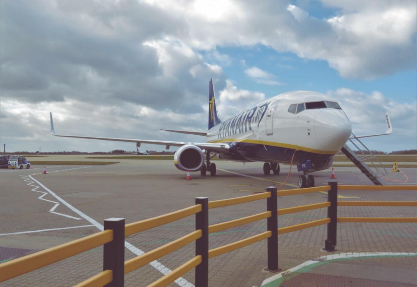 Специалист работает с международными туристами