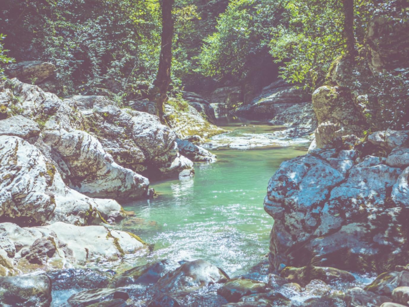 Современный офис Frentor с комфортной обучающей средой